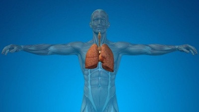 Trénink - Dýchání při běhu