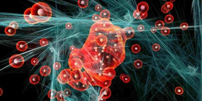 Trénink - oxidační stres a antioxidanty